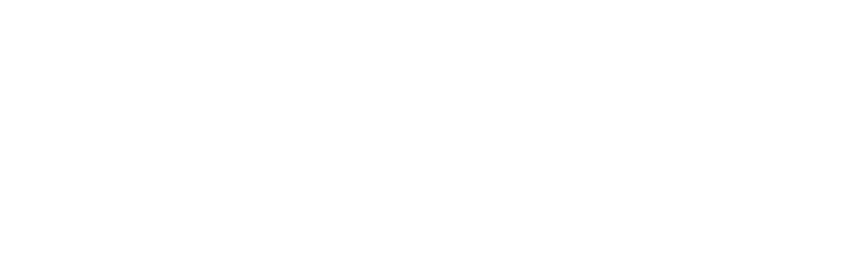 Apple Consultants Network Logo